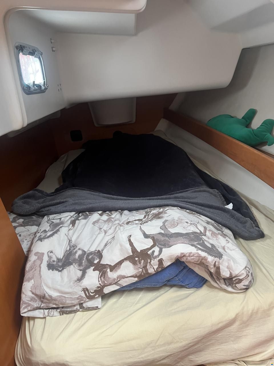 Beneteau First 33,7