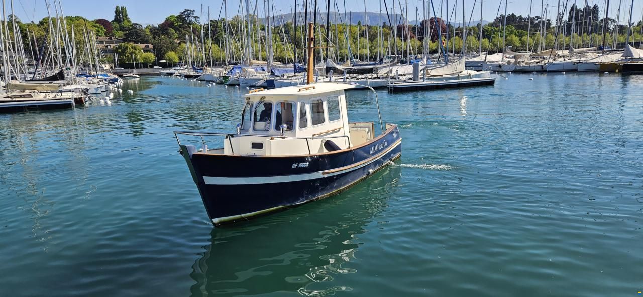 Rh&eacute;a 650