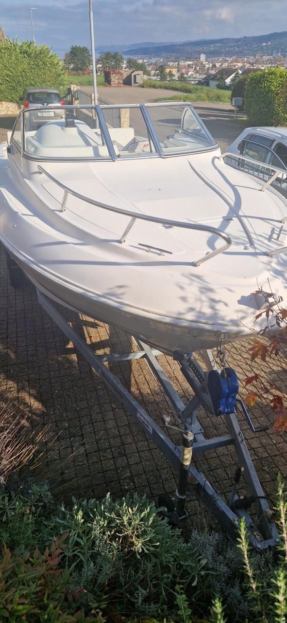 Quicksilver Flamingo 620