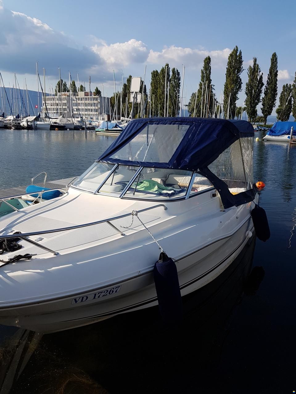 Quicksilver Flamingo 620