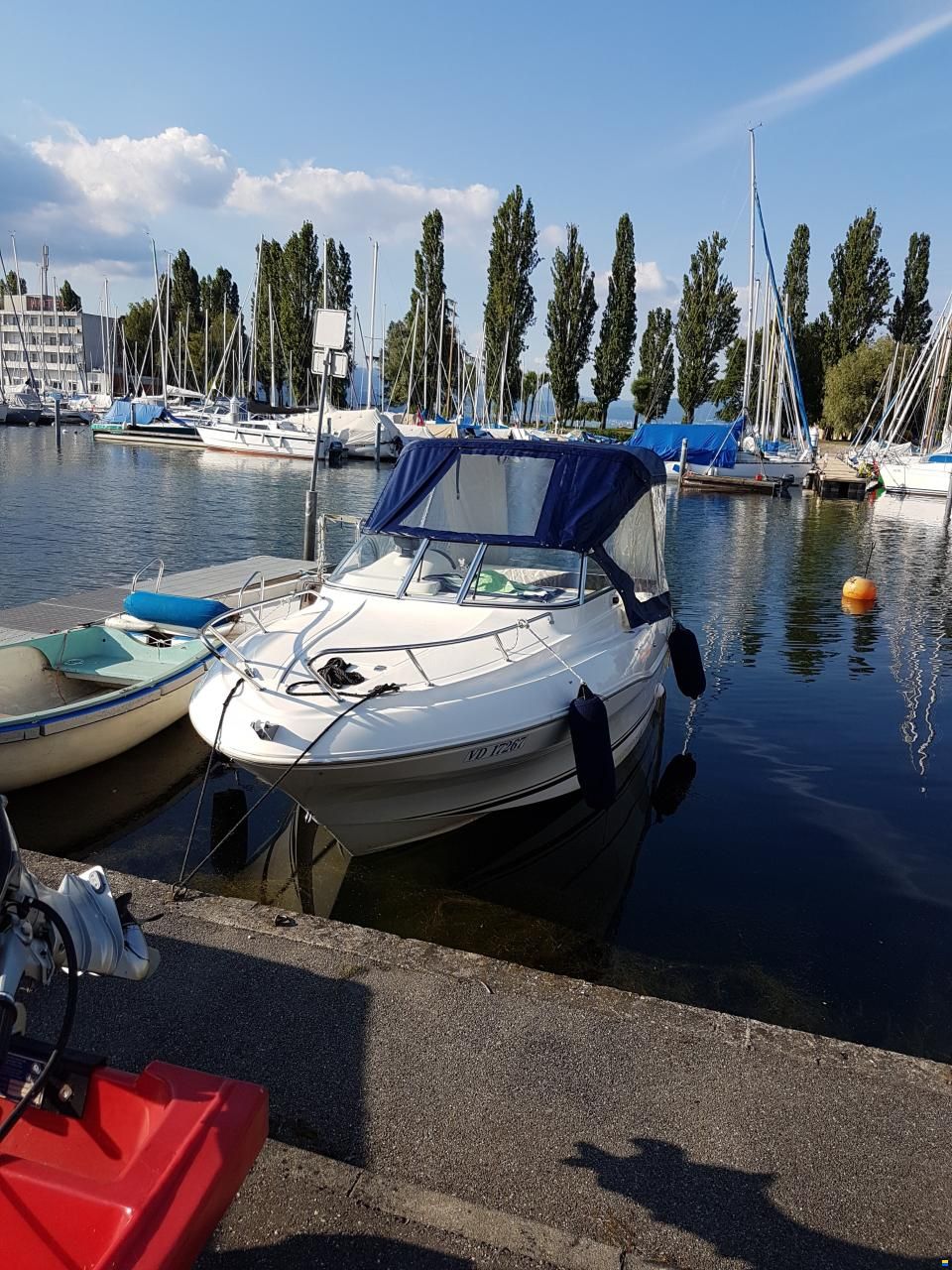 Quicksilver Flamingo 620
