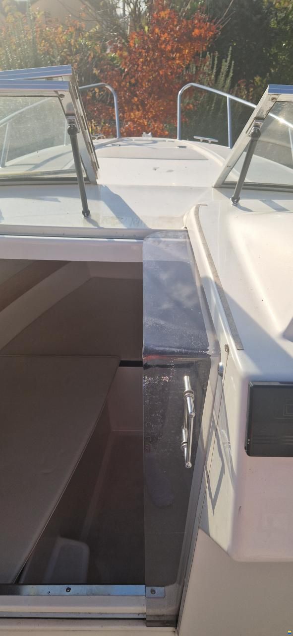 Quicksilver Flamingo 620
