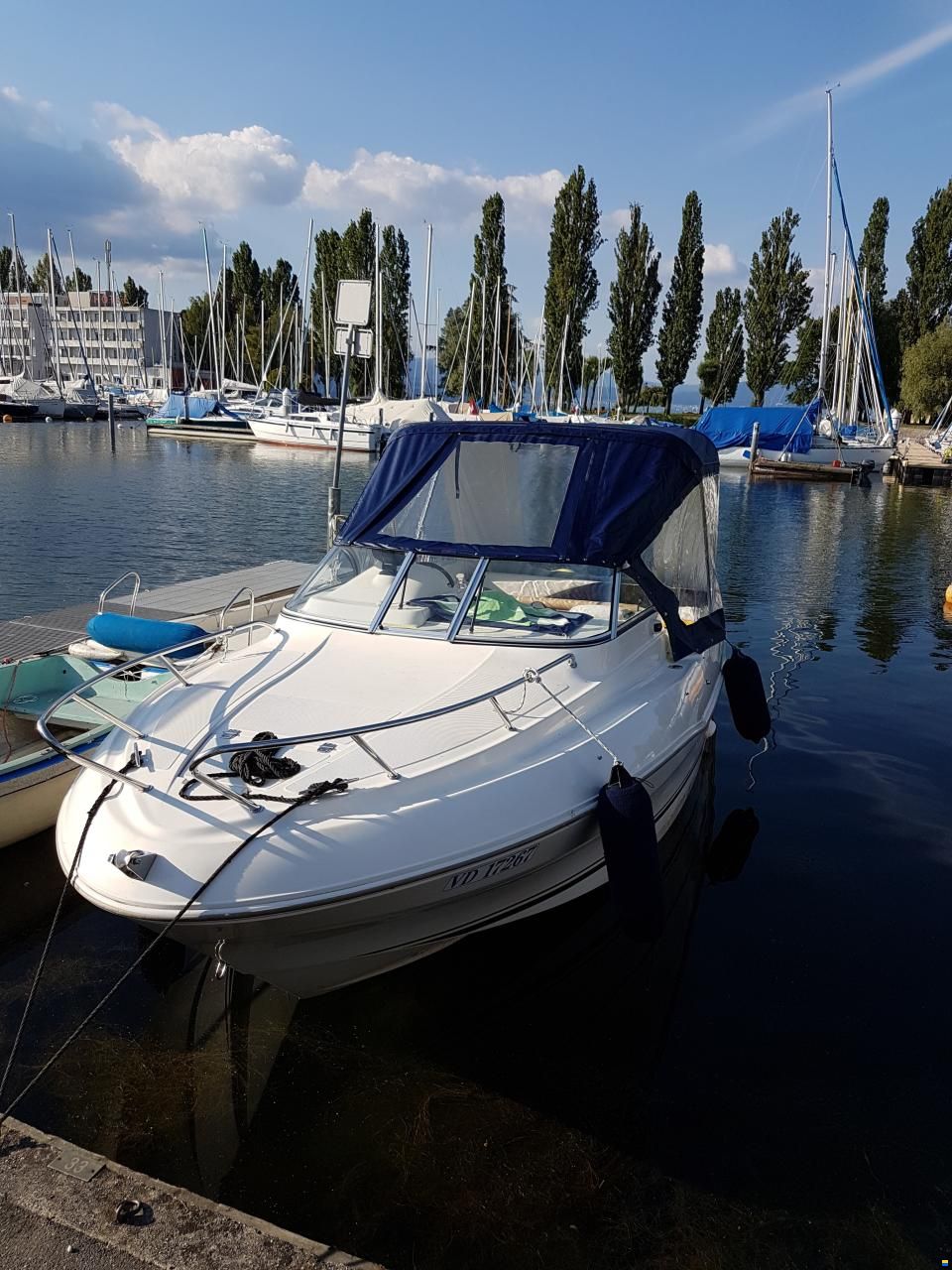 Quicksilver Flamingo 620
