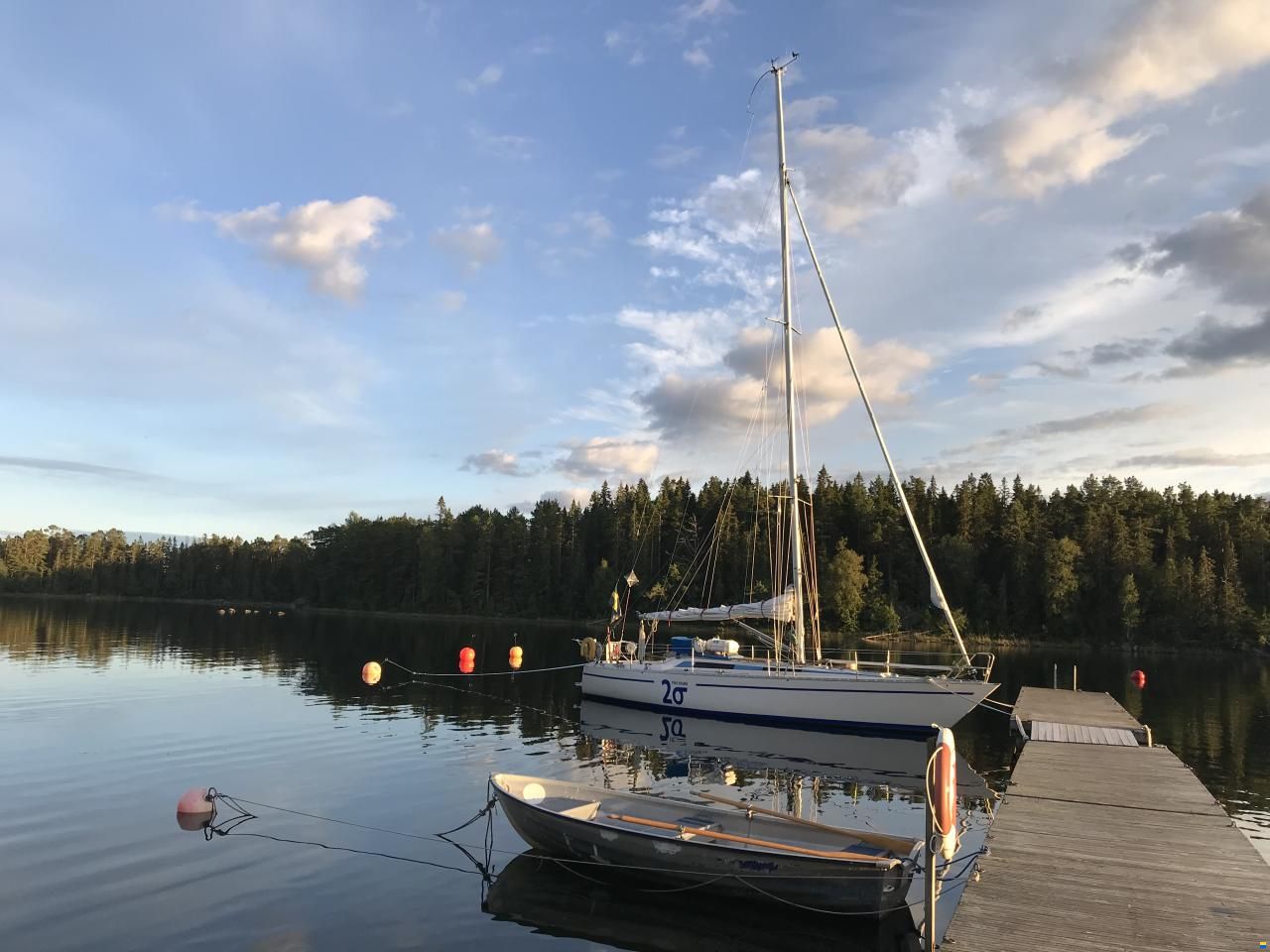 Swede 38