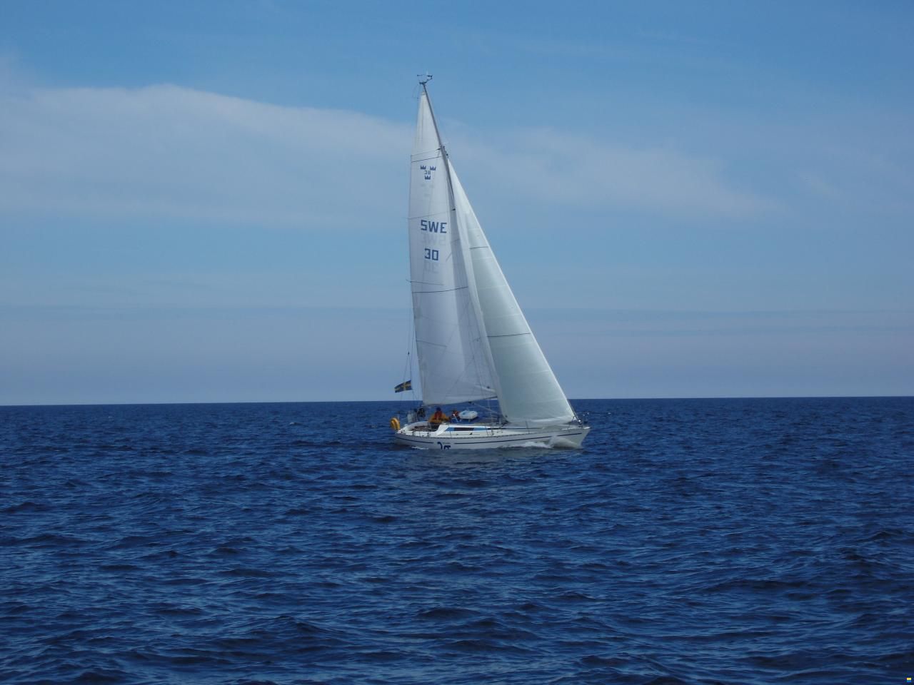 Swede 38