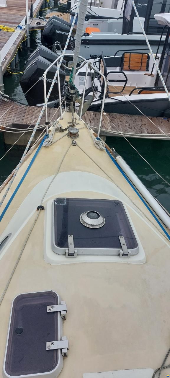 Westerly Fulmar