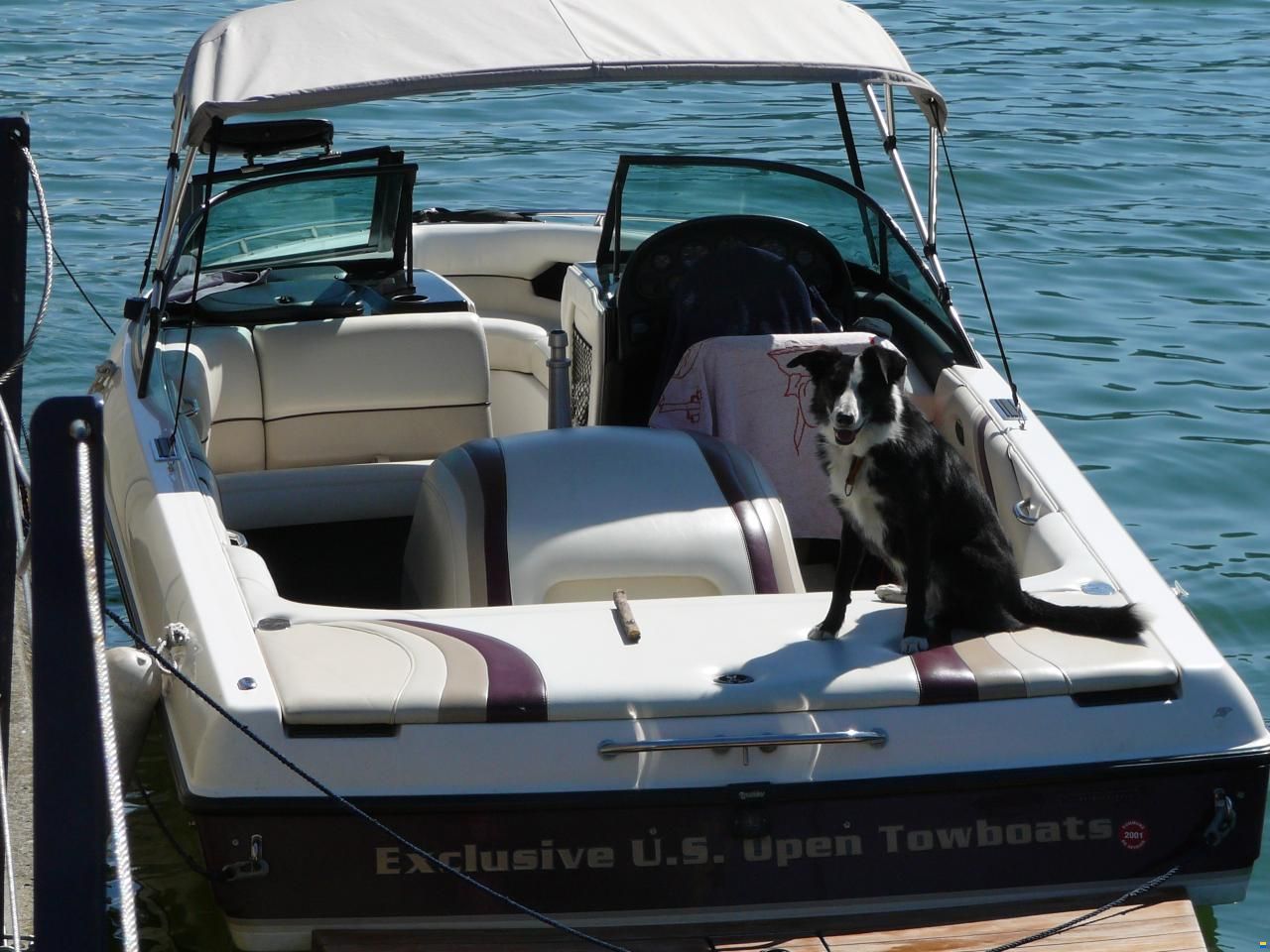 Malibu Sunsetter LXI