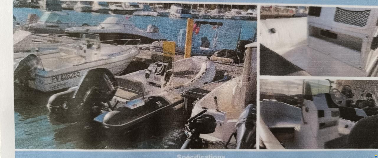 Tigermarine 520 Sport Line
