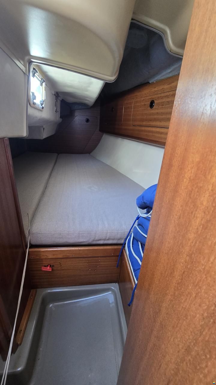 Dehler 31