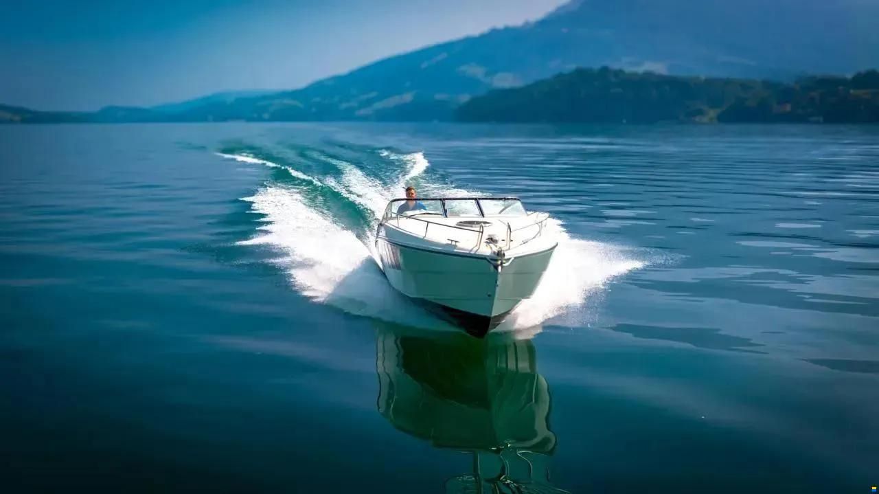 Windy 29 COHO