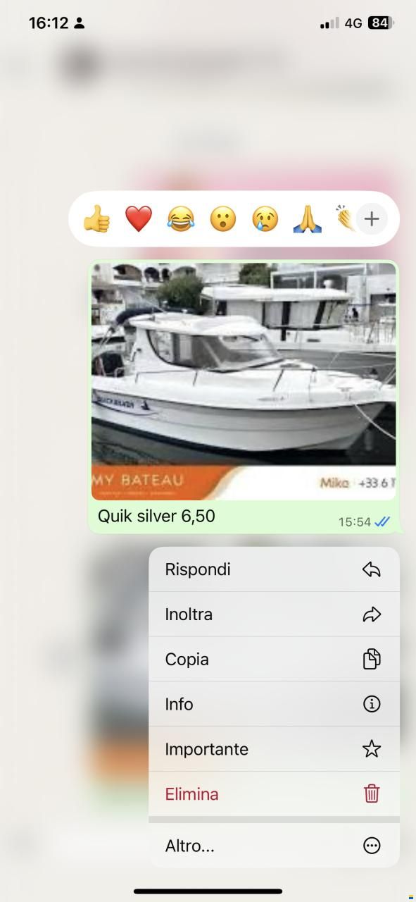 Quicksilver 6,50 Semicabinato
