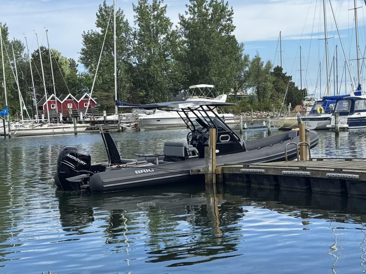 Brig Eagle 8