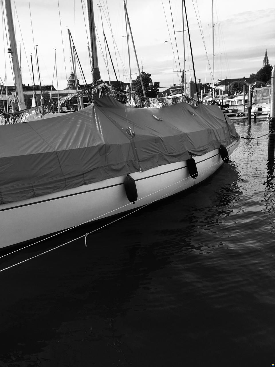 Helmsman Lady Helmsman