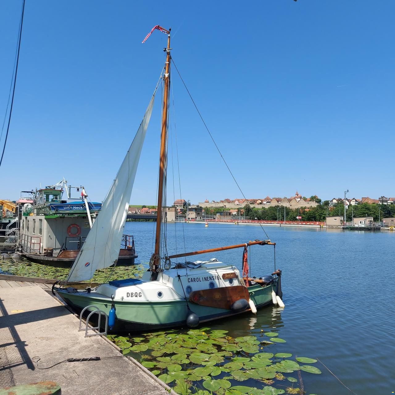 Geleijns Roodevaart Zalmschouw