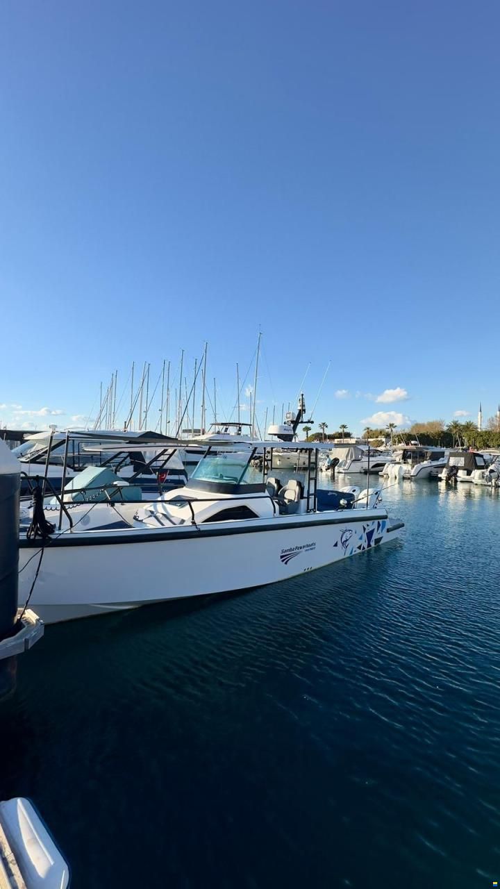 Samba Power Boats Trend 28 Fisher