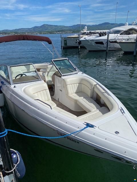 Cobalt 232