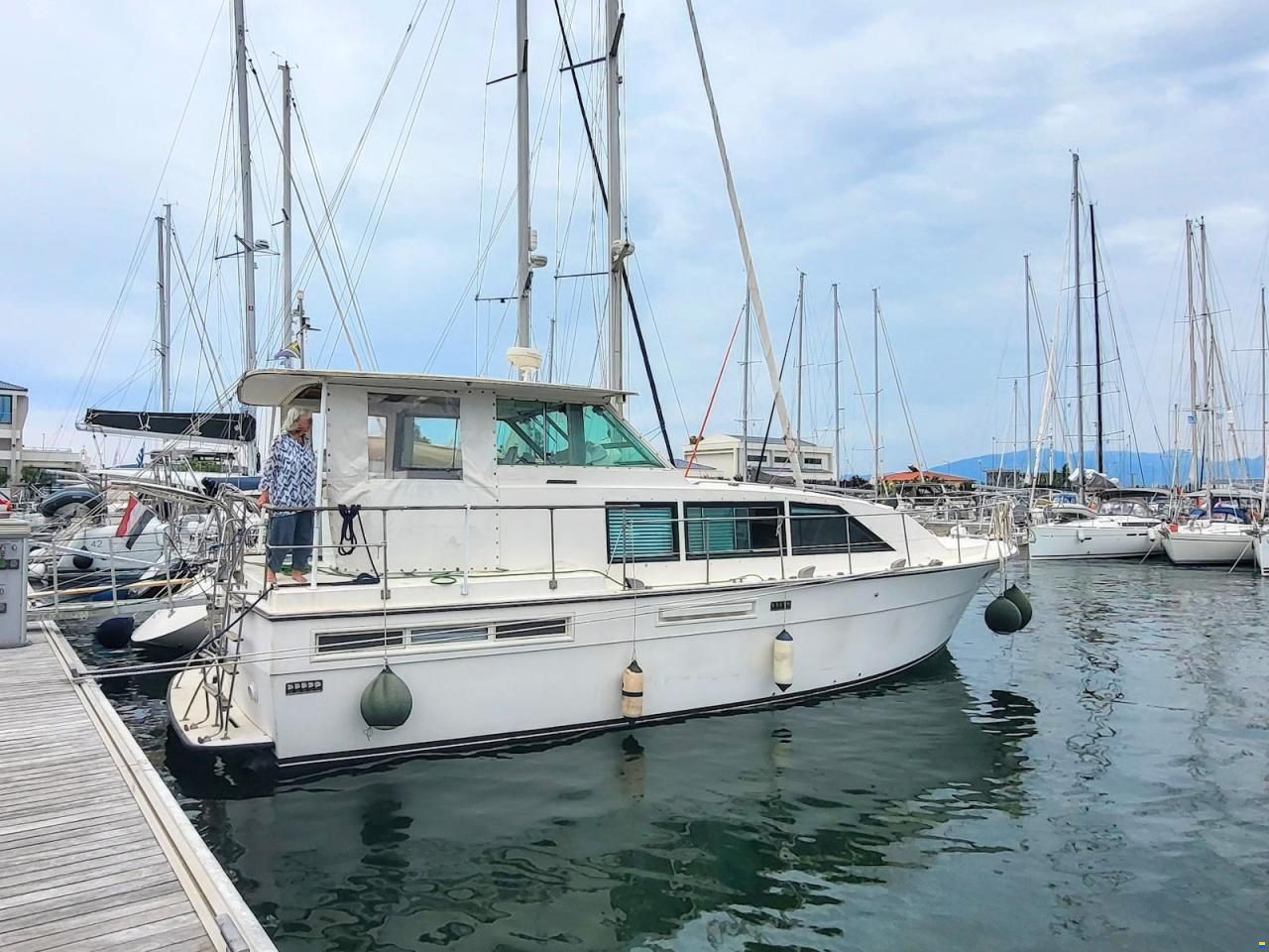 Bertram 42