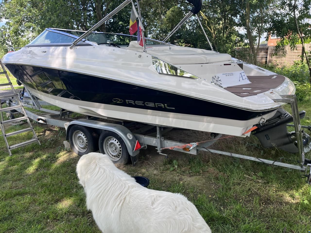 Regal 2250 Cuddy