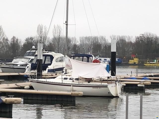 Meyer Friendship 22 S