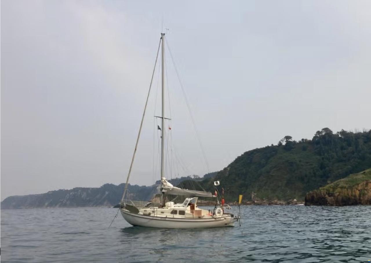 Royal System Sagitta 30
