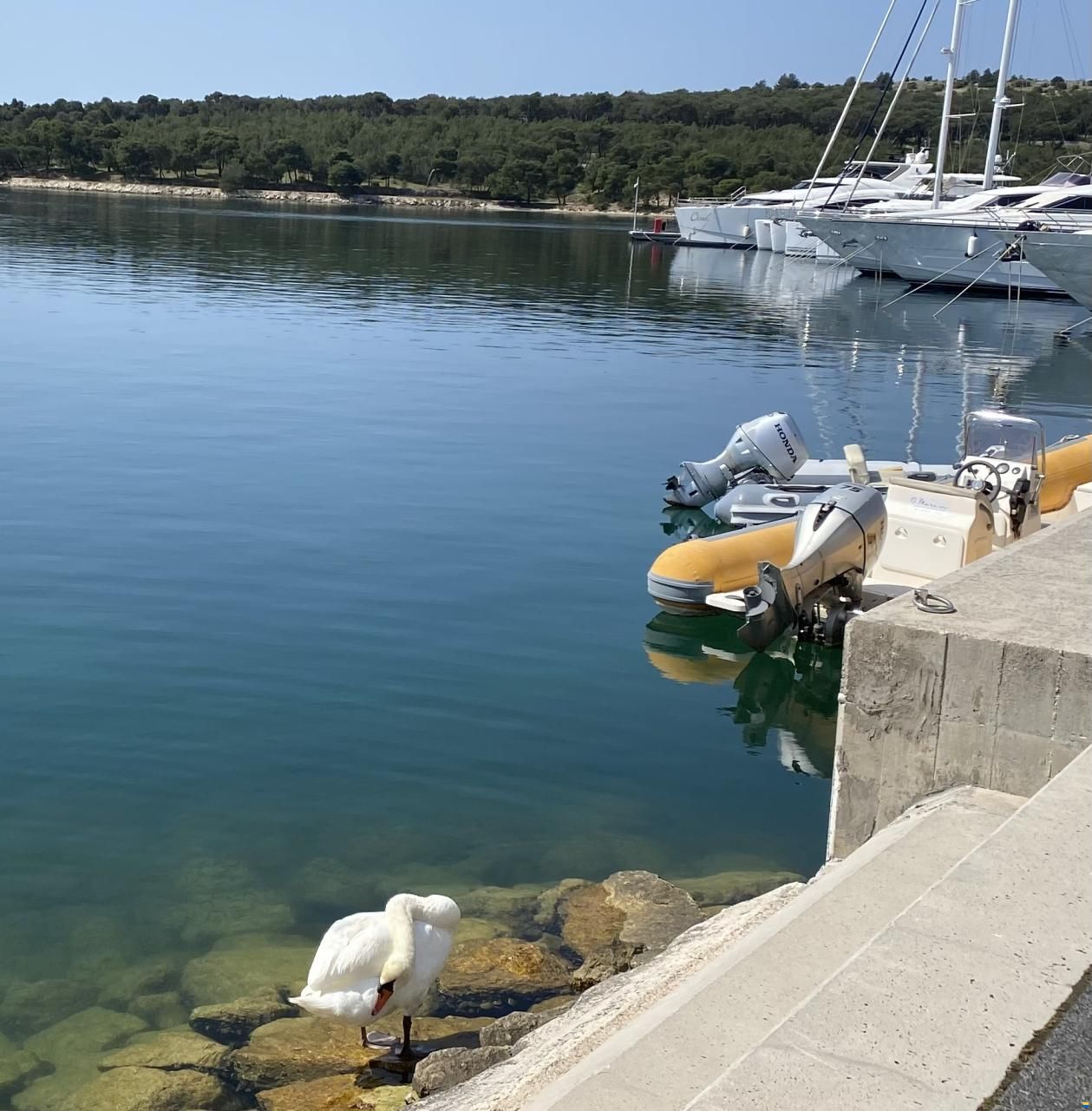 Top-Lage in der D-Marin Mandalina Marina
