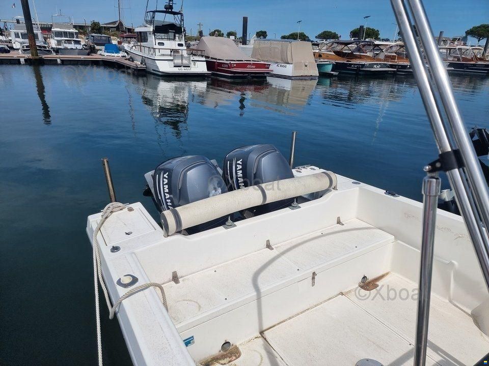 Kelt WHITE SHARK 236