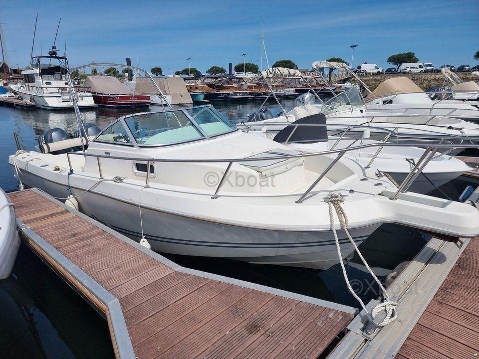 Kelt WHITE SHARK 236
