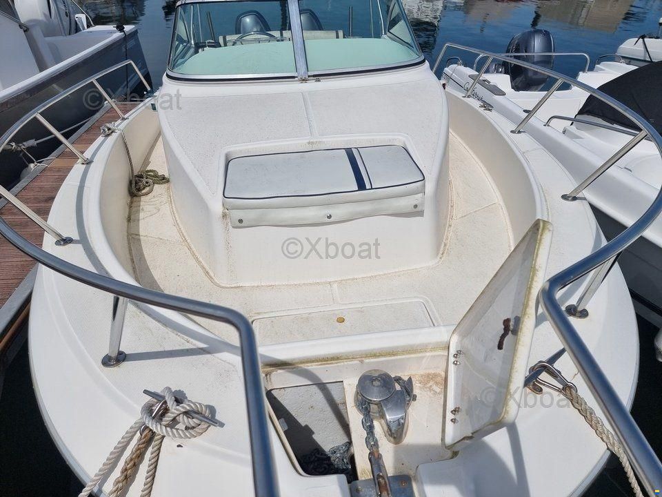 Kelt WHITE SHARK 236