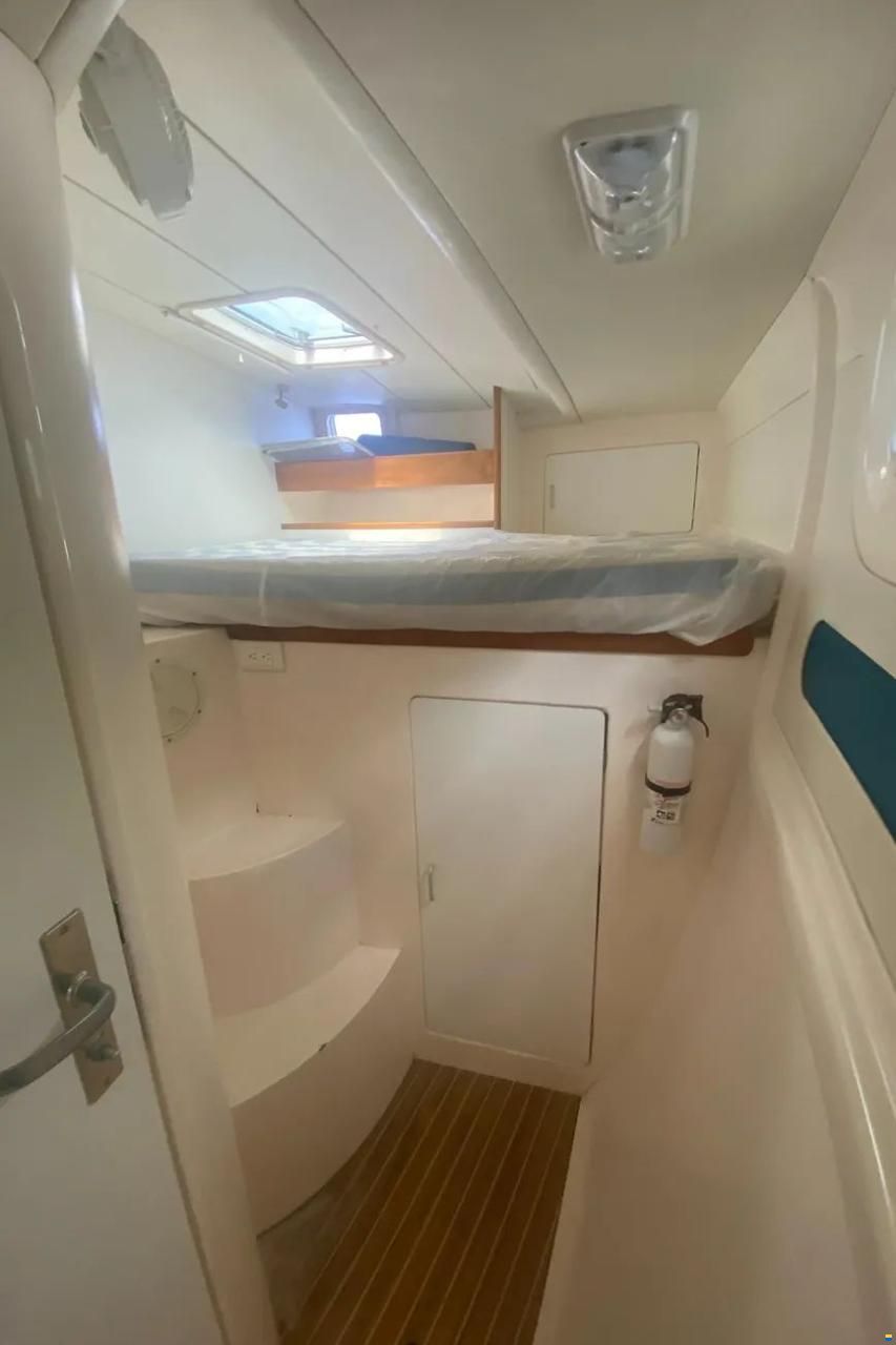 Leopard 38