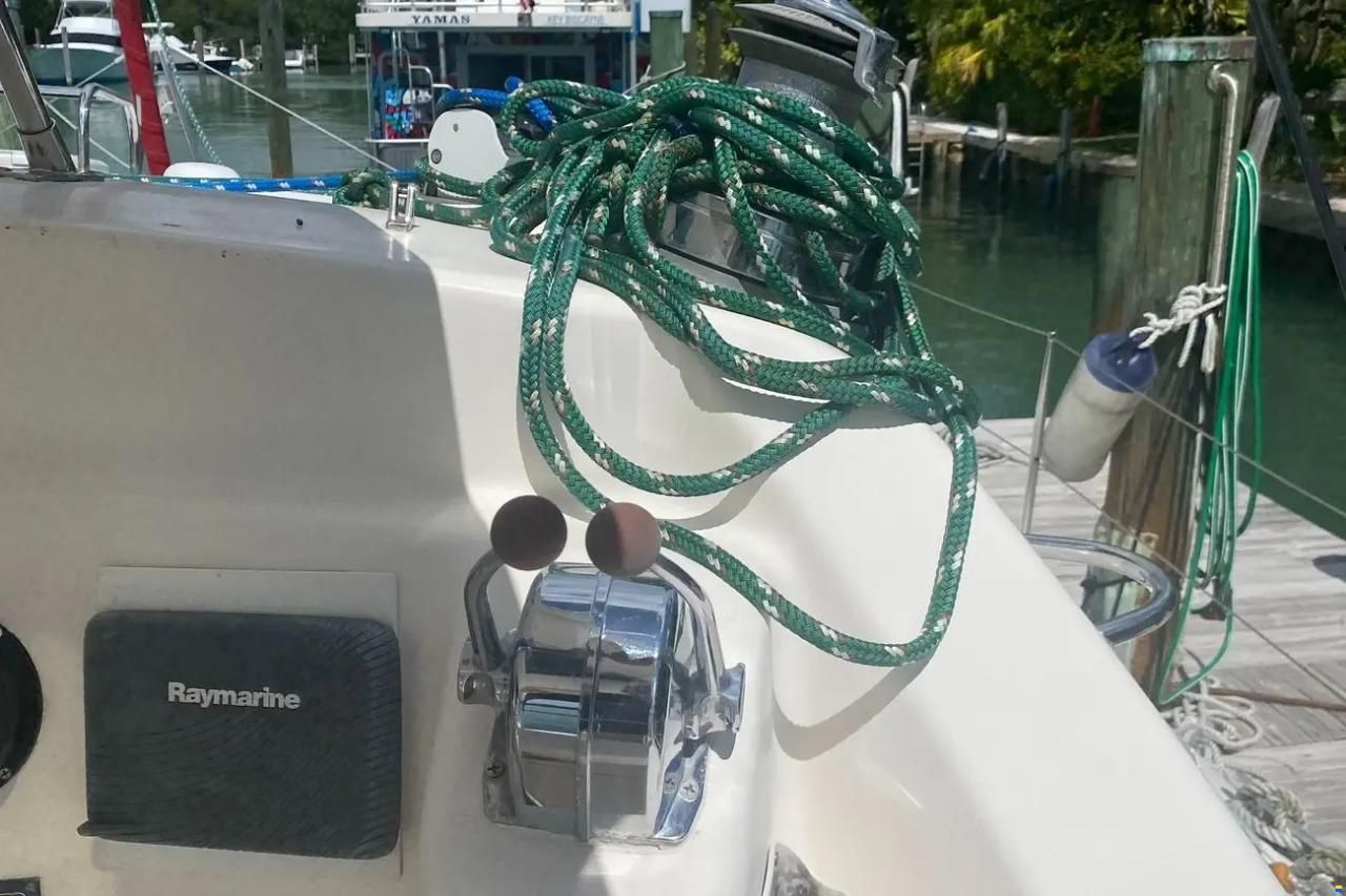 Leopard 38