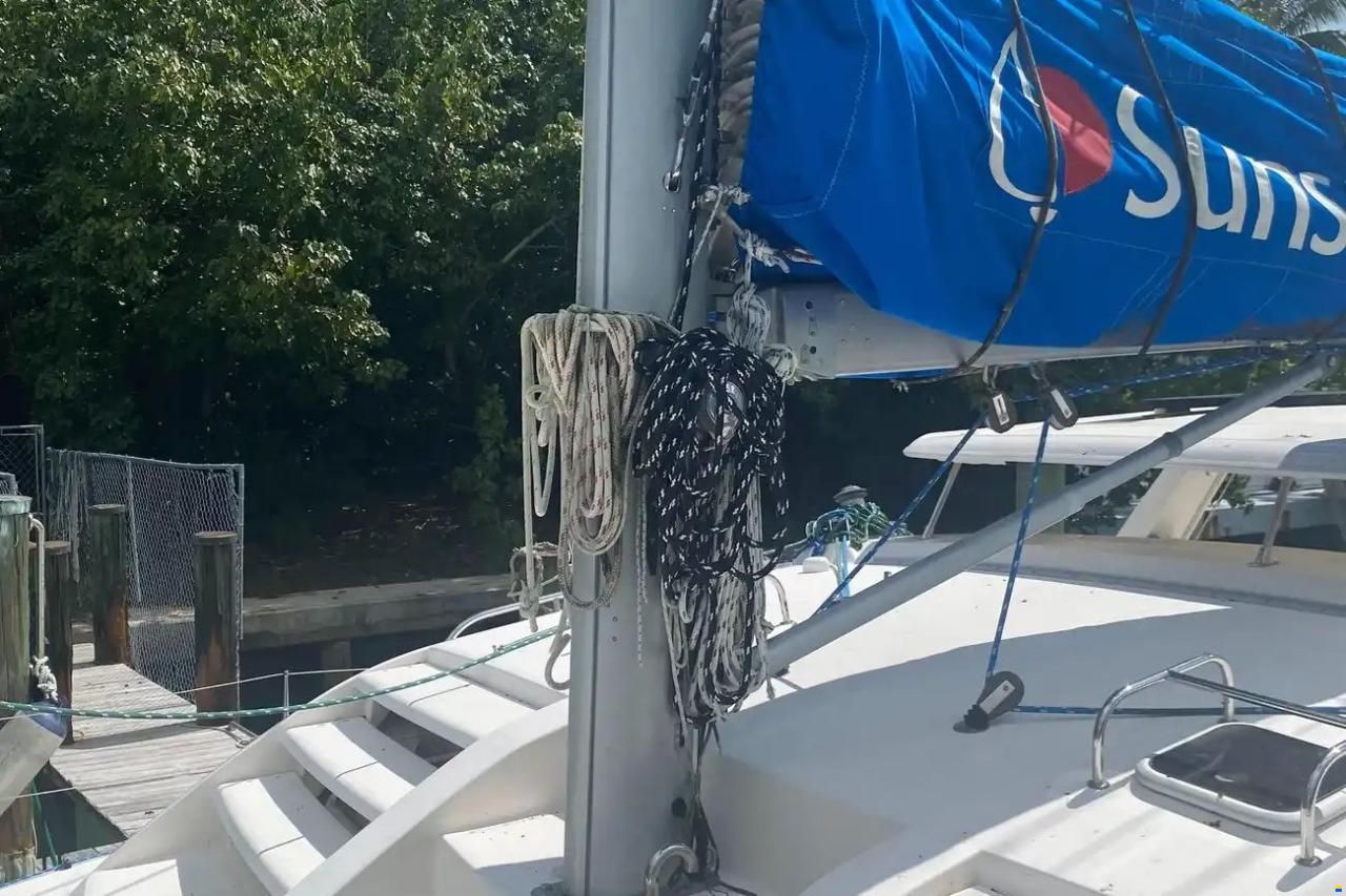 Leopard 38