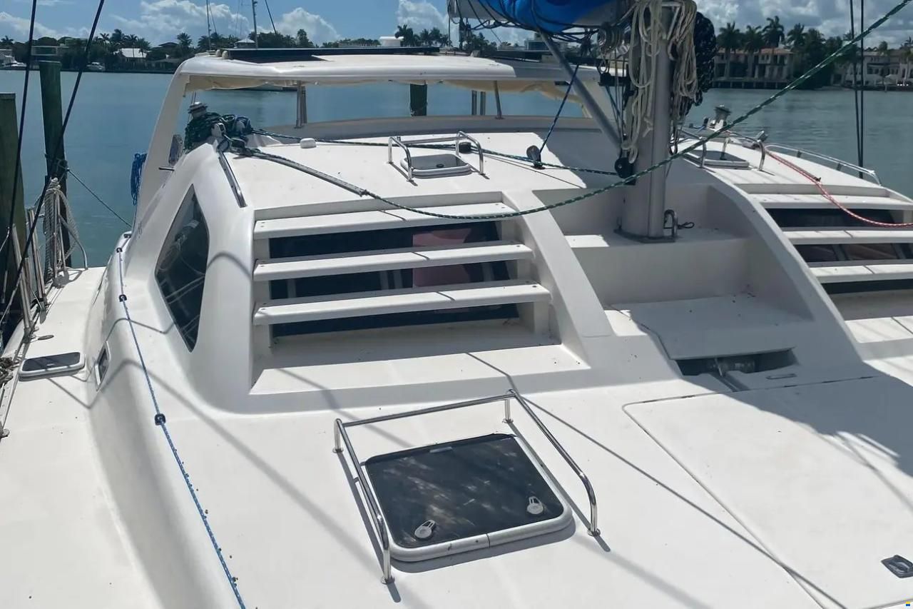 Leopard 38