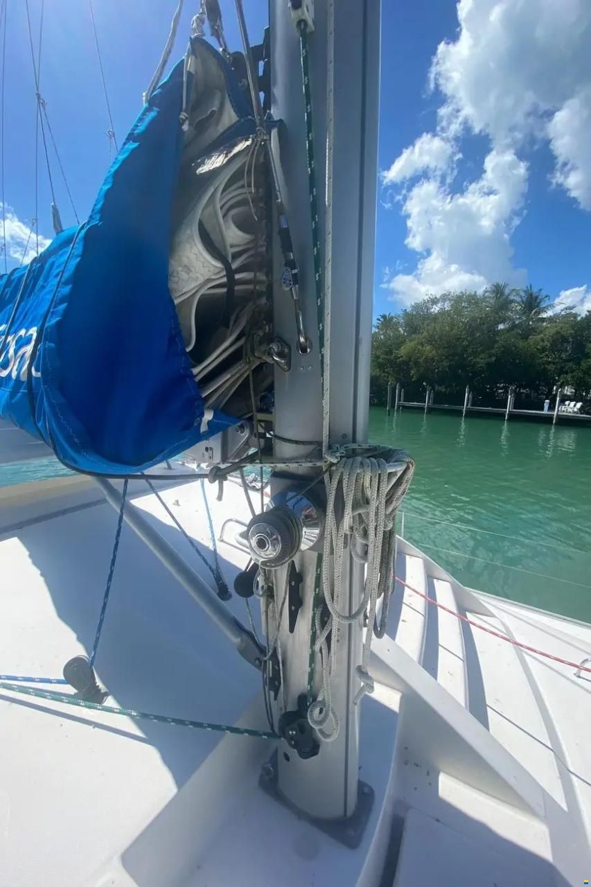 Leopard 38