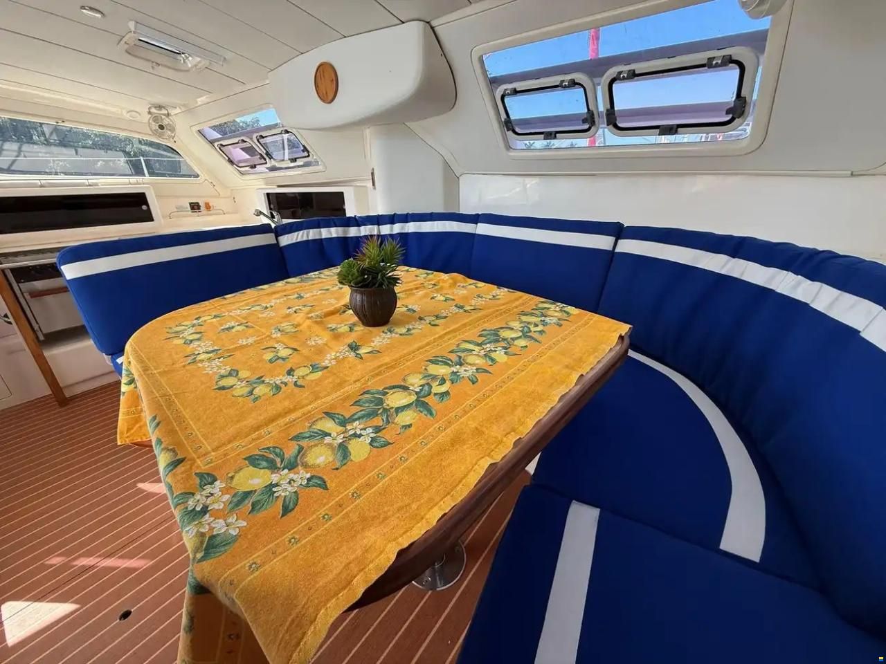 Leopard 38