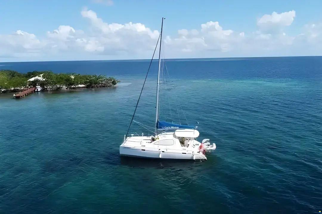 Leopard 40