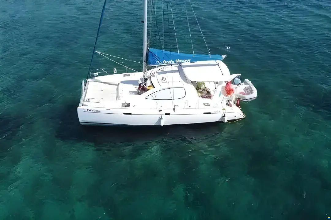 Leopard 40