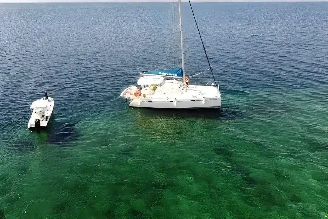 Leopard 40