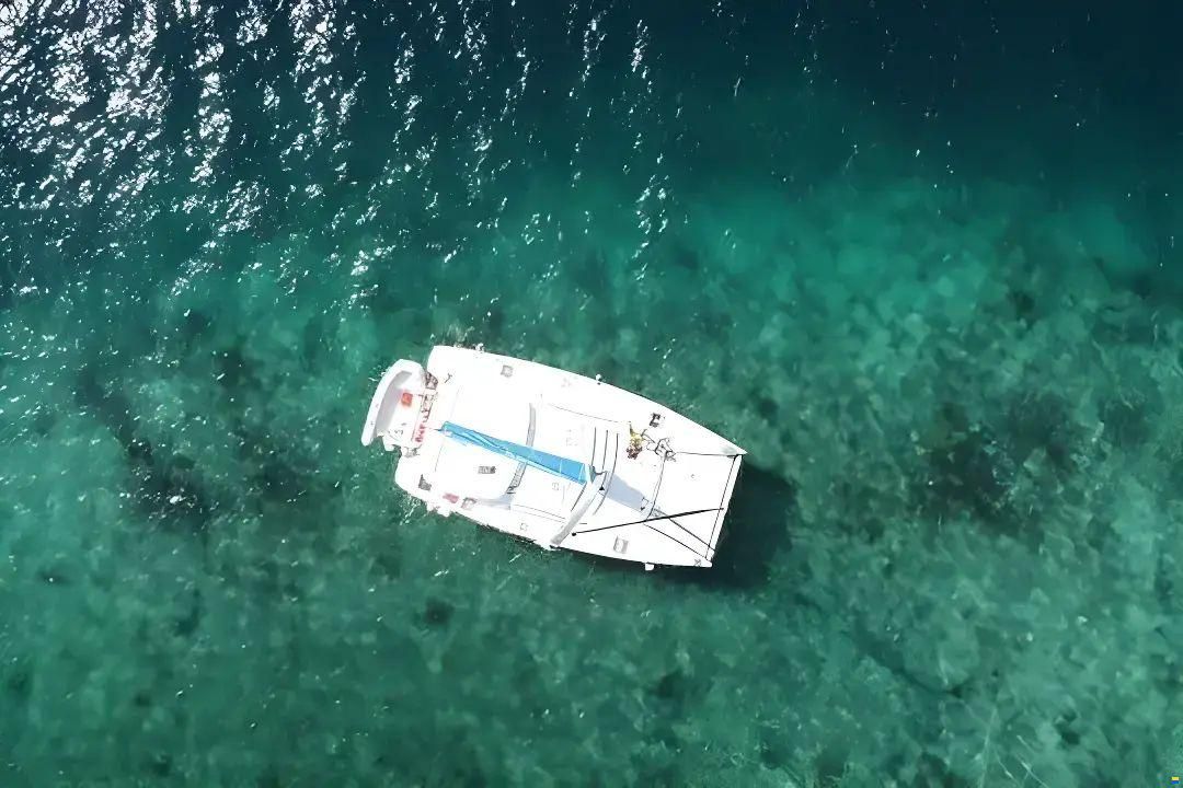 Leopard 40