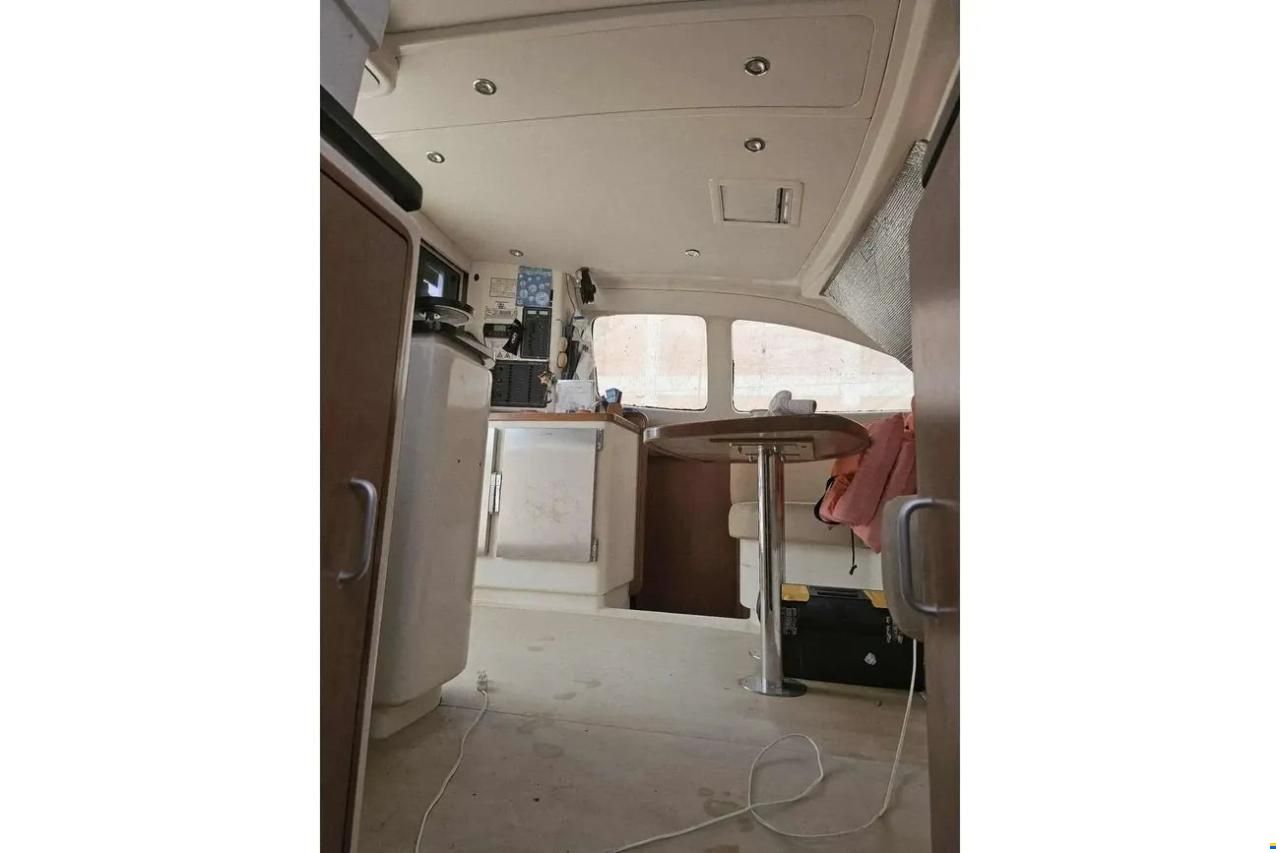 Leopard 40