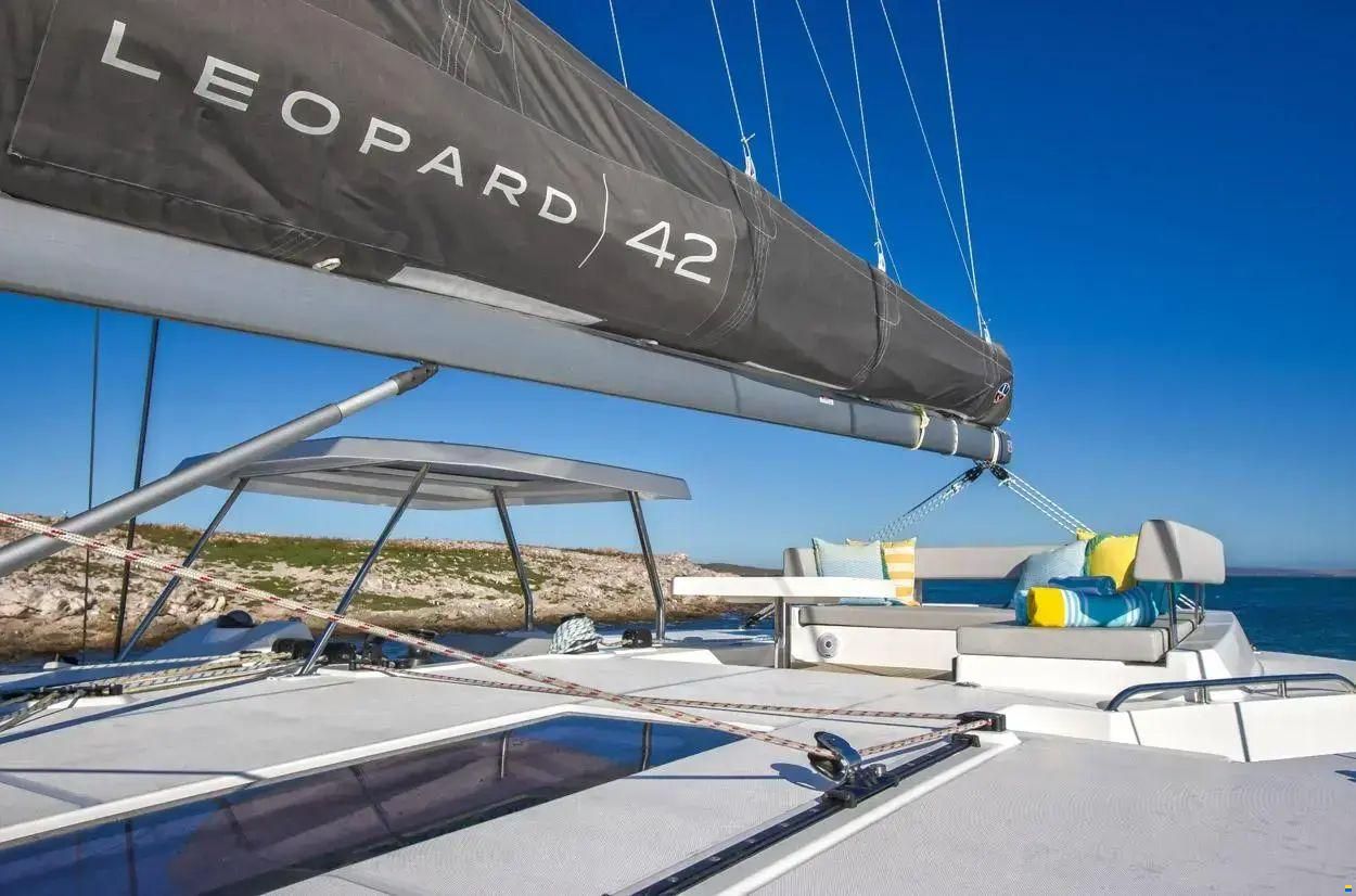 Leopard 42