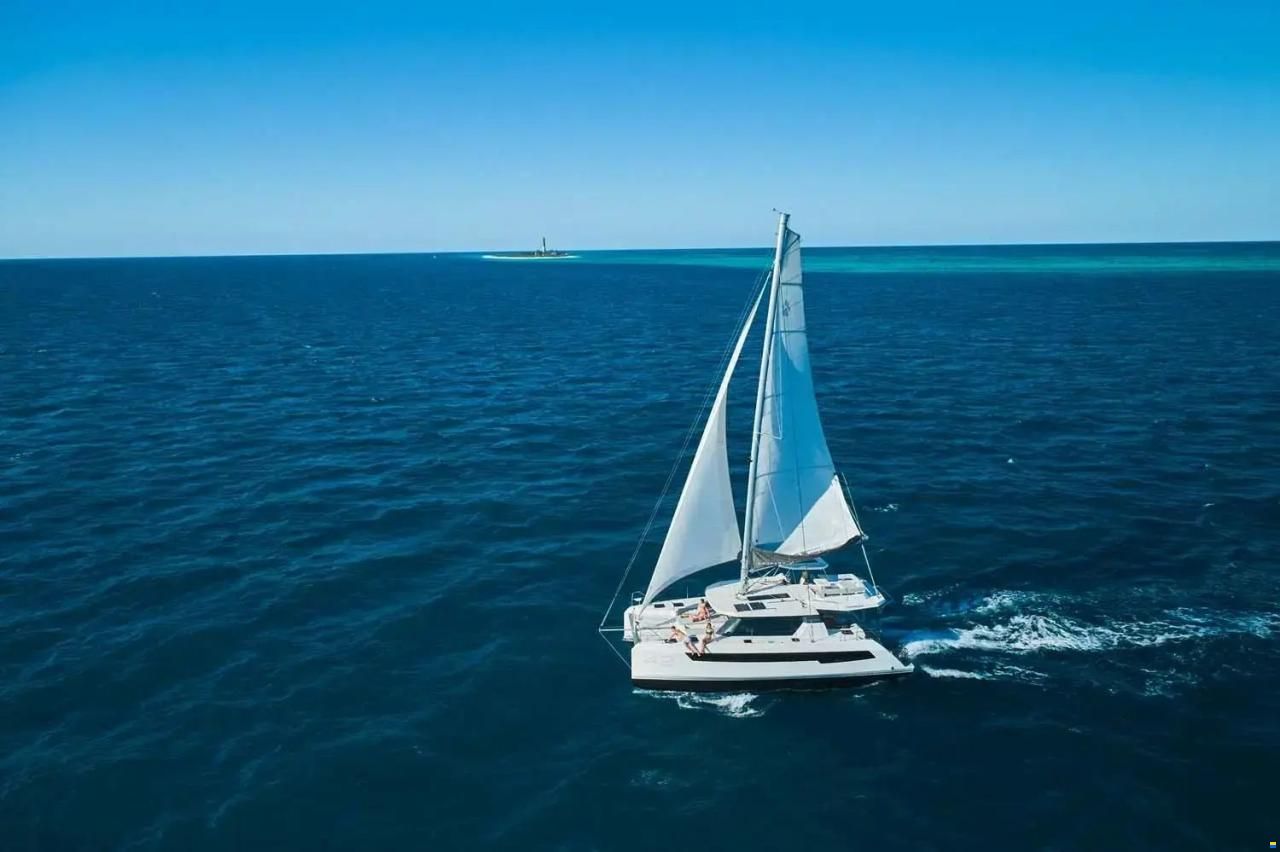 Leopard 42