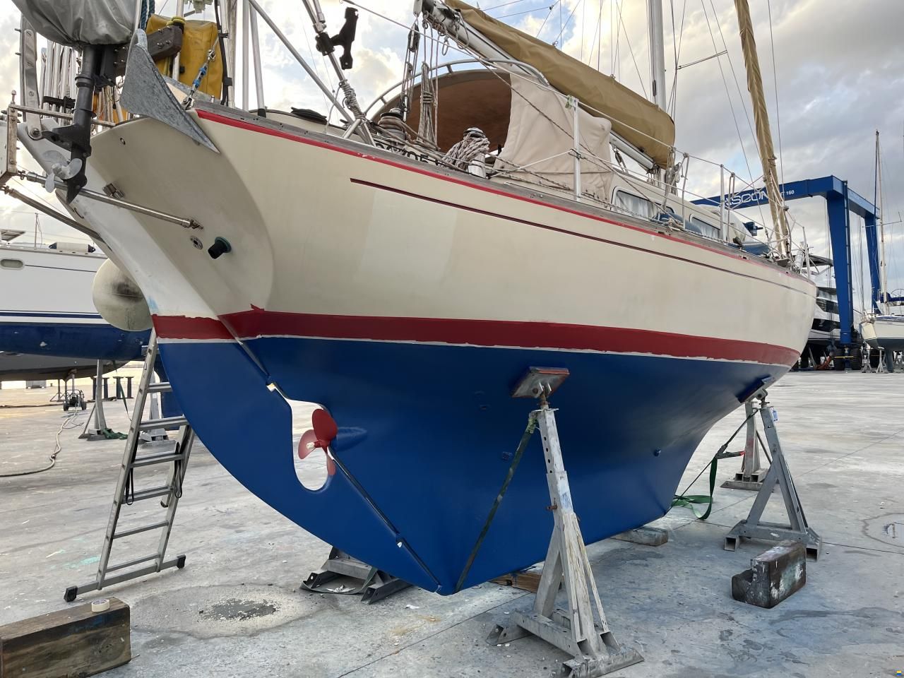 Klaus Baess Great Dane 28