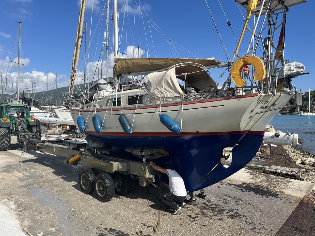 Klaus Baess Great Dane 28
