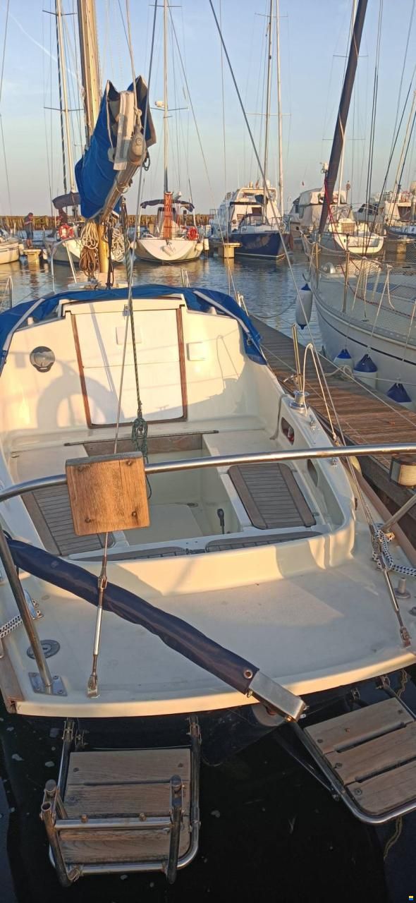 Hurley 27
