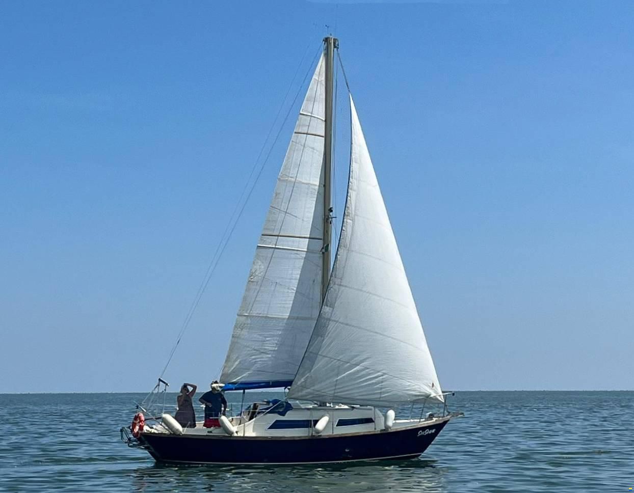 Hurley 27