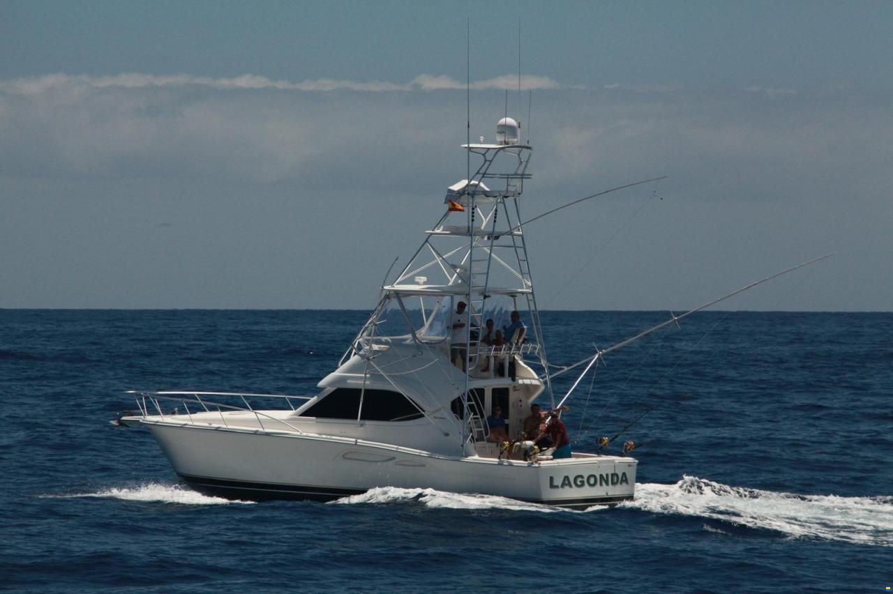 Riviera 42