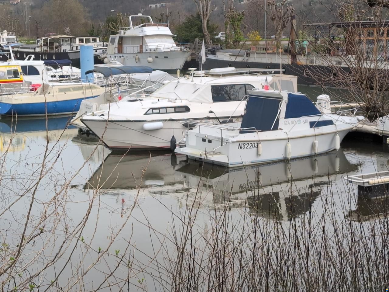 Rosebank Marine Sedan 31