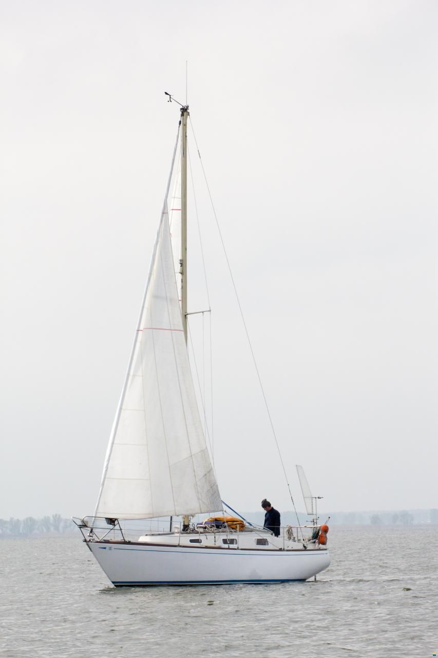 Aquafibre S&S30 AQUA30