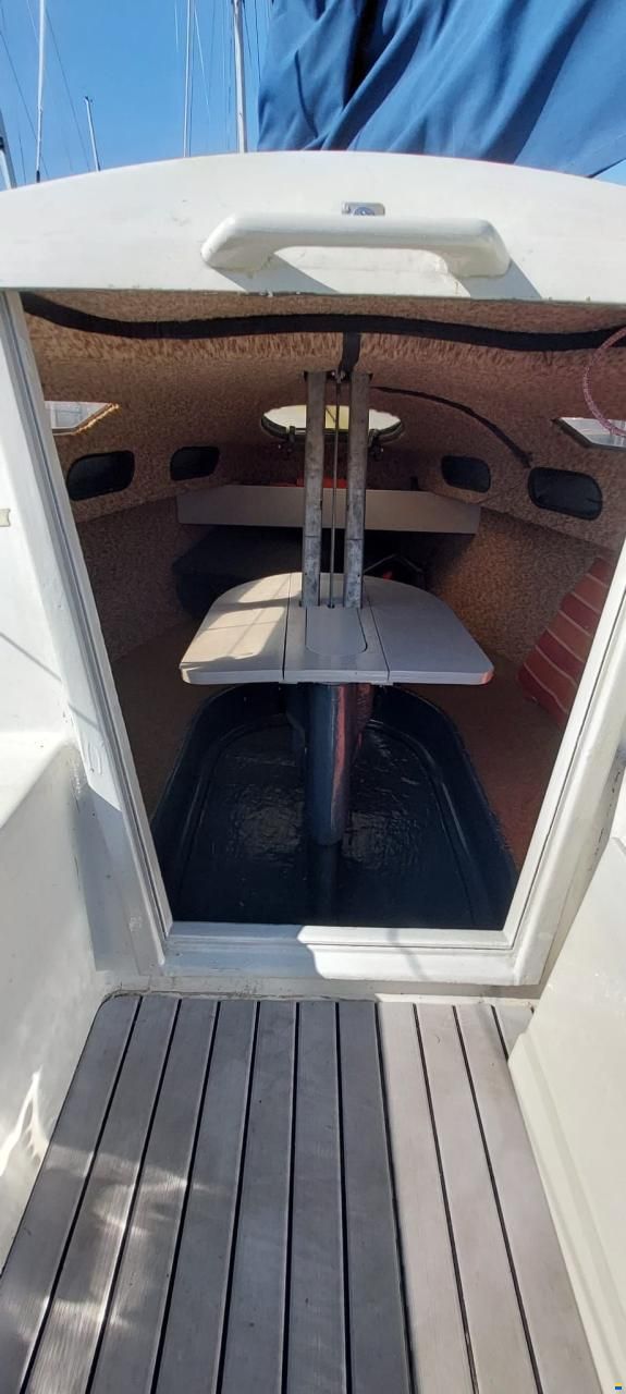 Condor 55