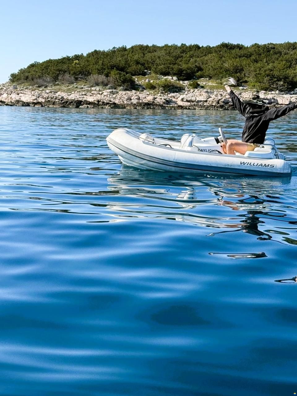 Williams TurboJet 285